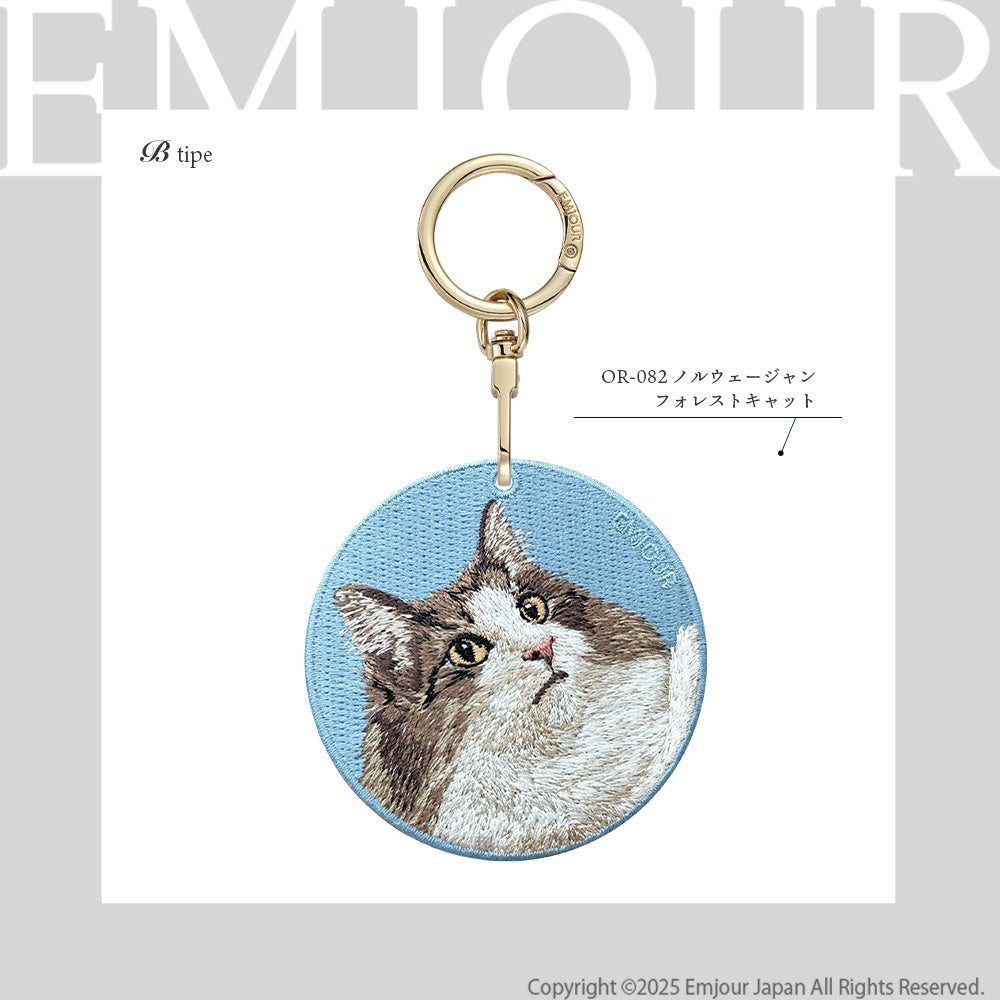 ノルウェージャンフォレストキャット