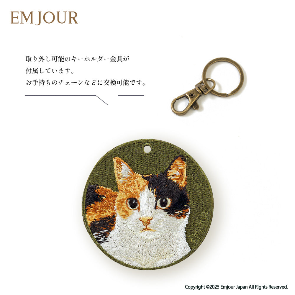 三毛猫
