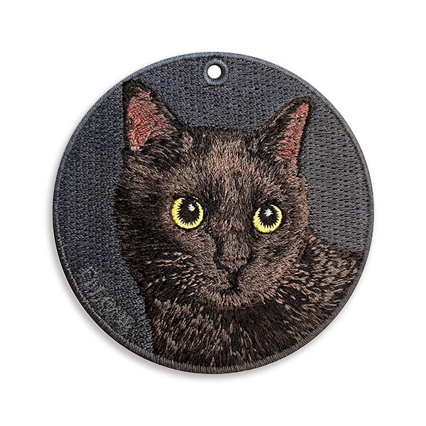 黒猫