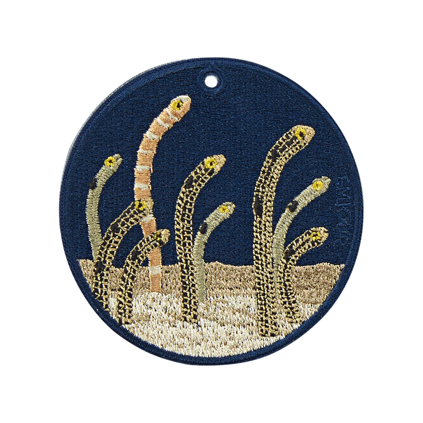 チンアナゴ