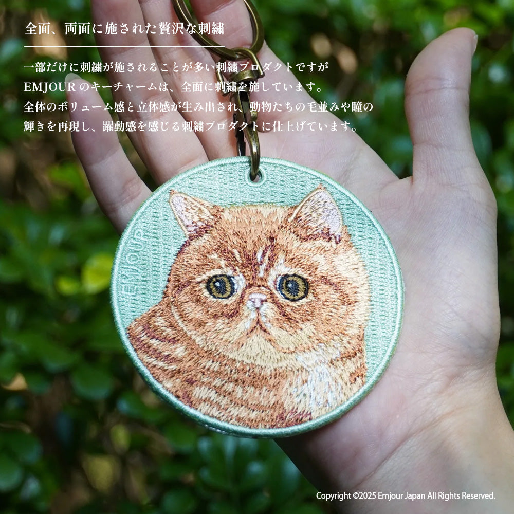 黒猫