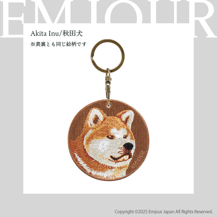 秋田犬