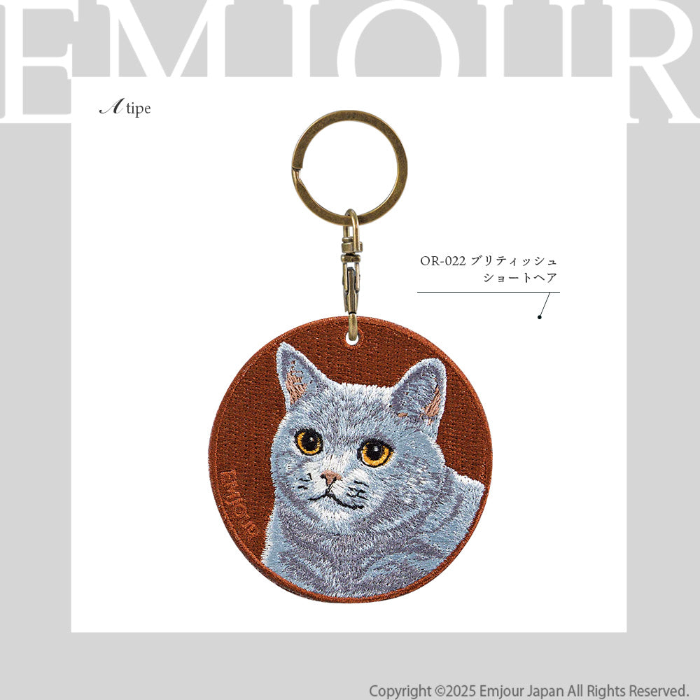 ブリティッシュショートヘア
