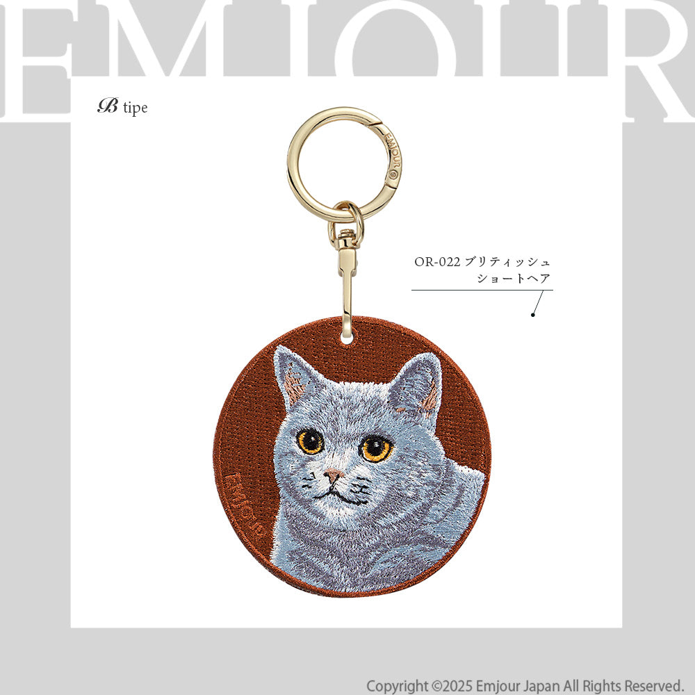 ブリティッシュショートヘア