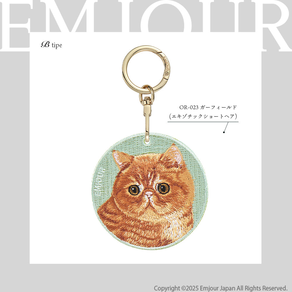 エキゾチックショートヘア