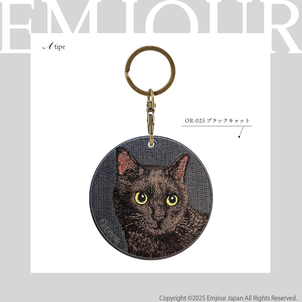 黒猫