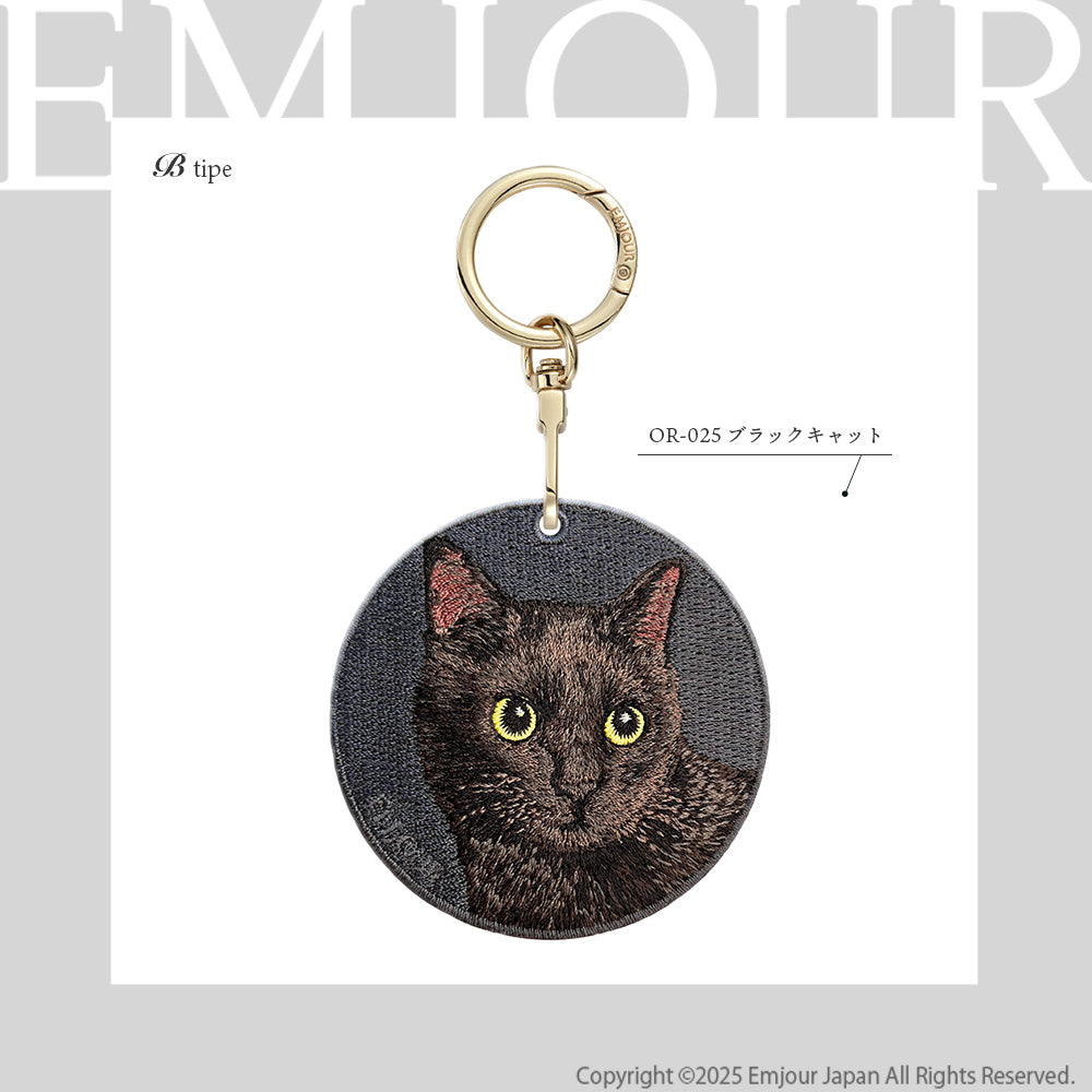 黒猫