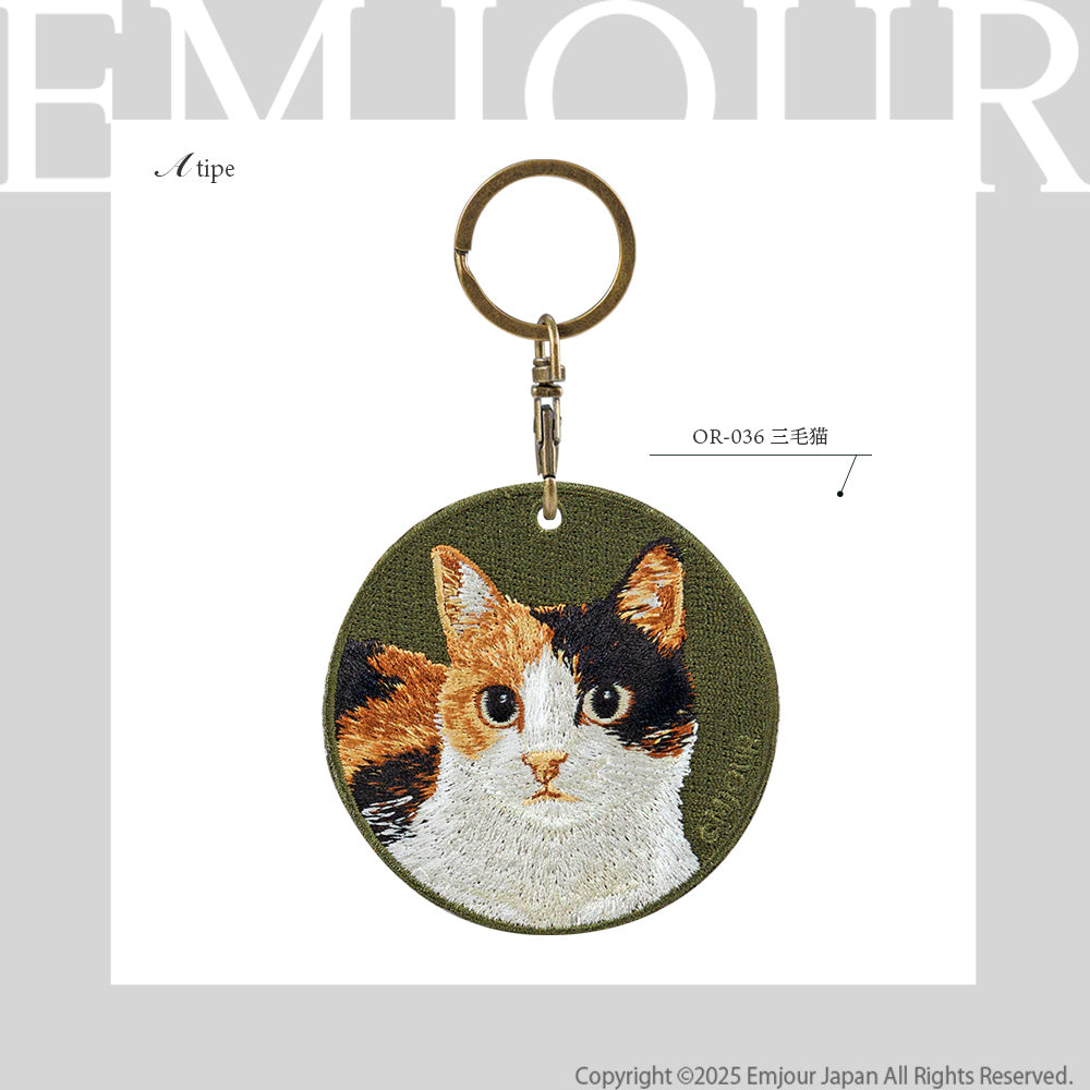 三毛猫