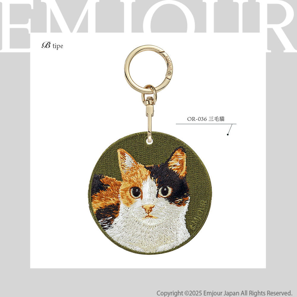三毛猫