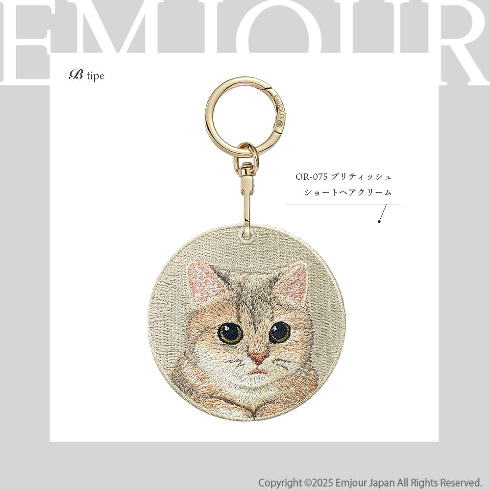 ブリティッシュショートヘア クリーム