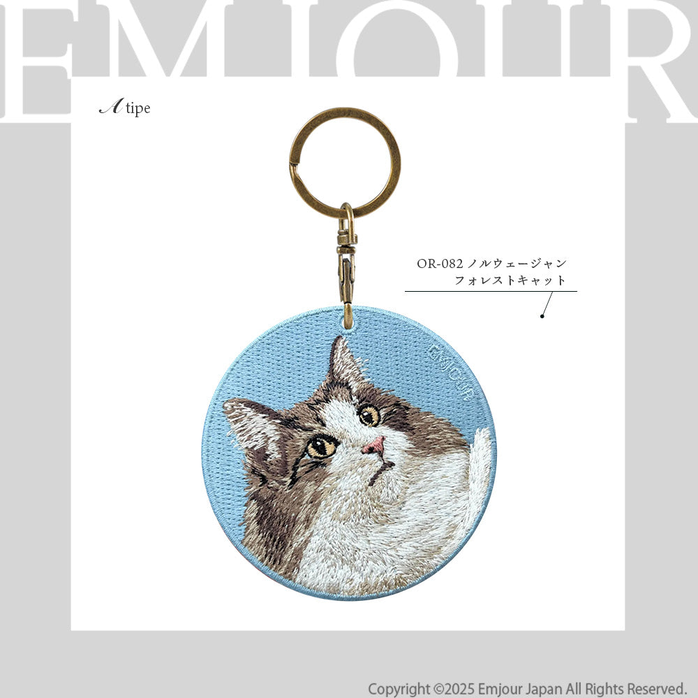 ノルウェージャンフォレストキャット