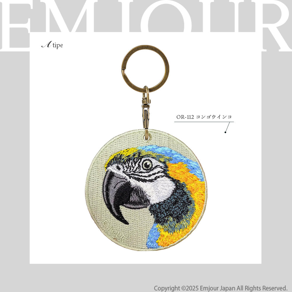 コンゴウインコ