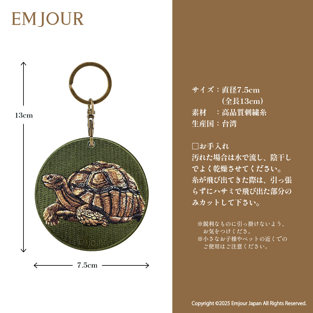 リクガメ