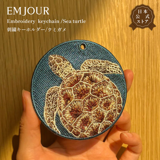 ウミガメ