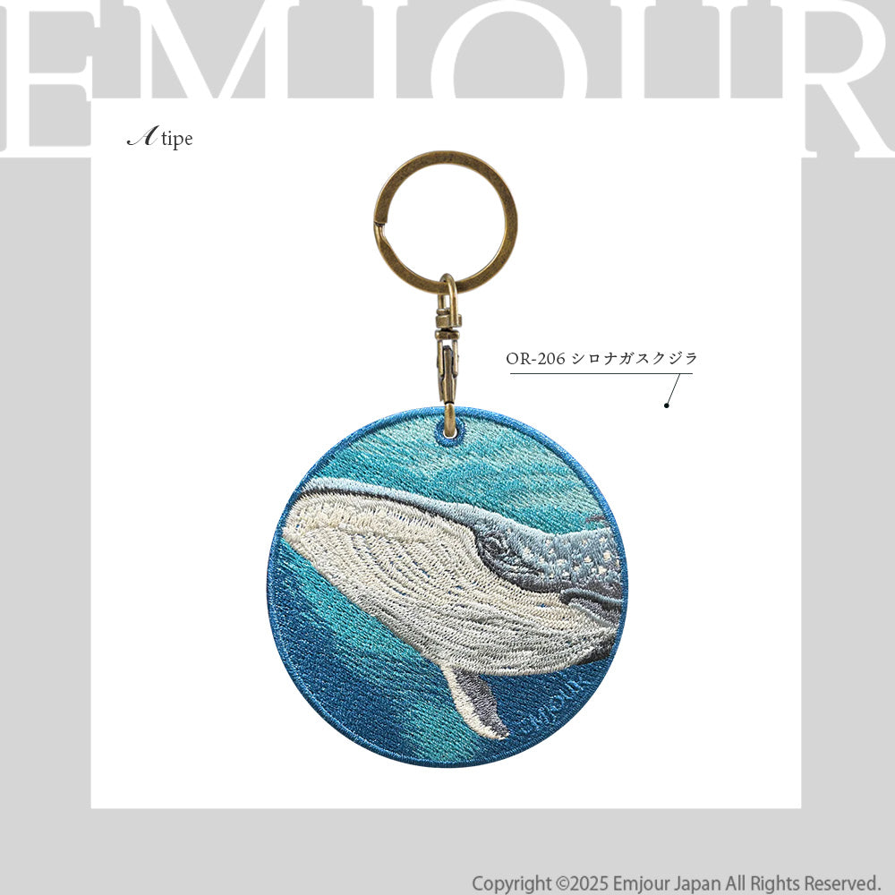 シロナガスクジラ