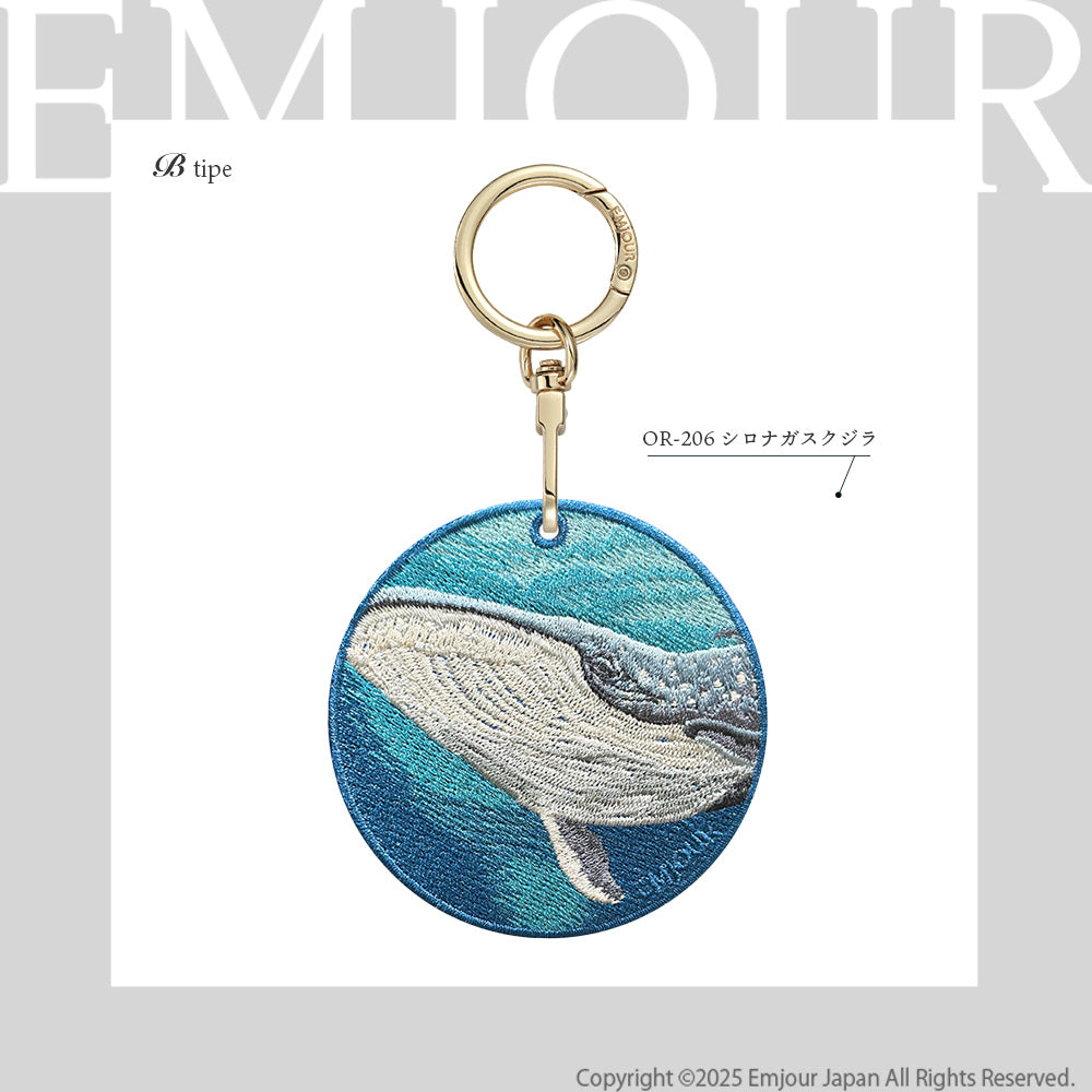 シロナガスクジラ
