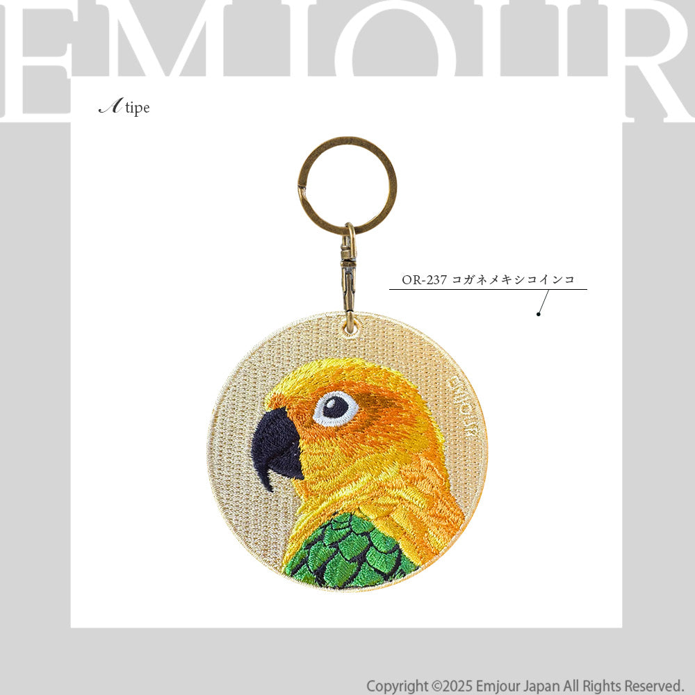 コガネメキシコインコ