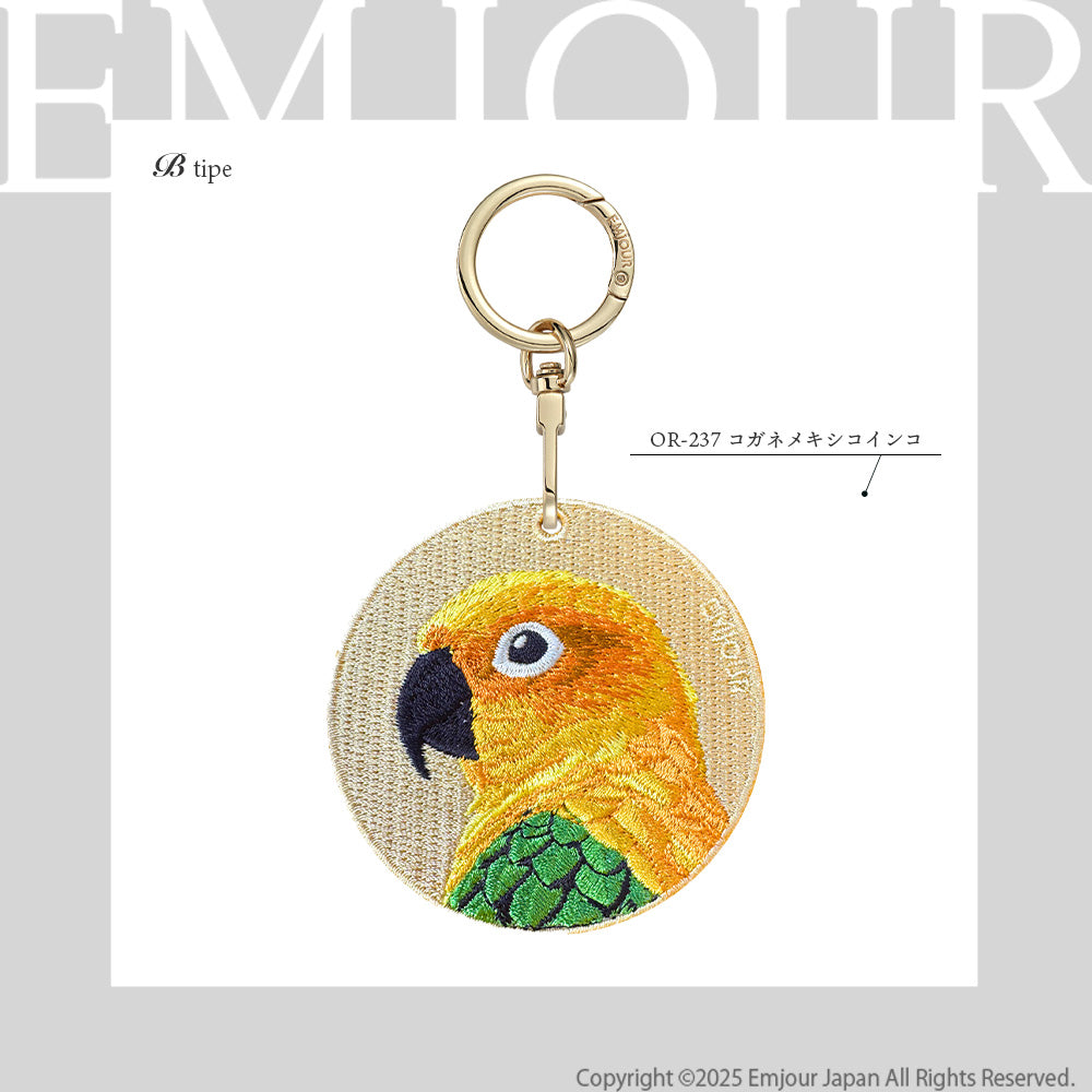 コガネメキシコインコ