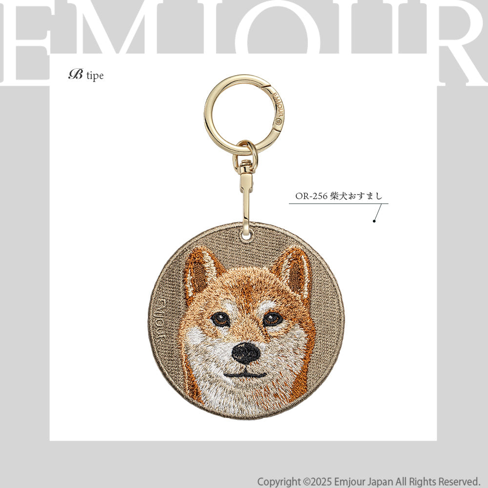 柴犬 おすまし