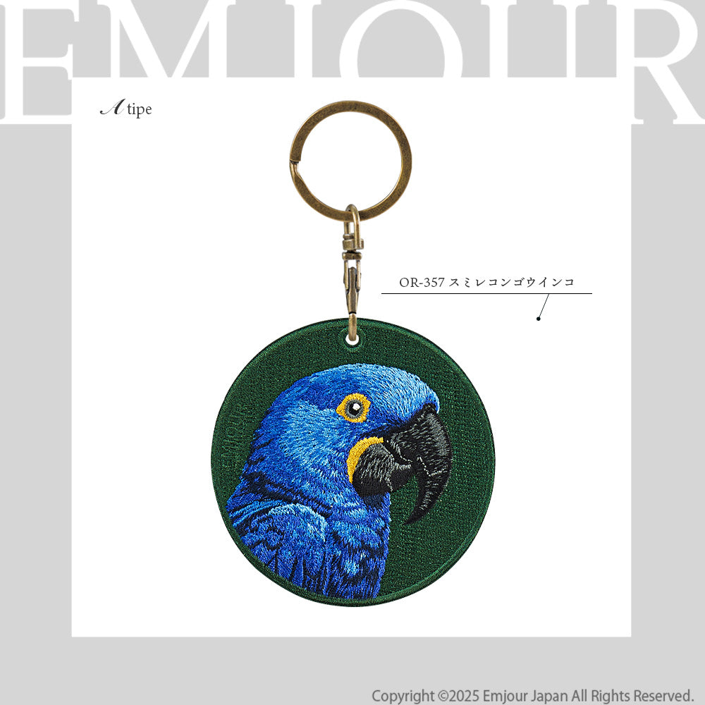 スミレコンゴウインコ
