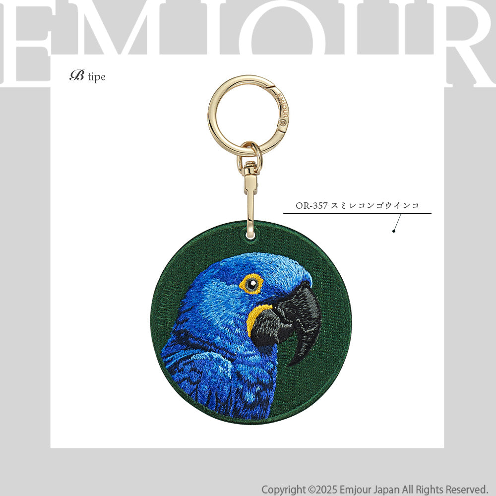 スミレコンゴウインコ
