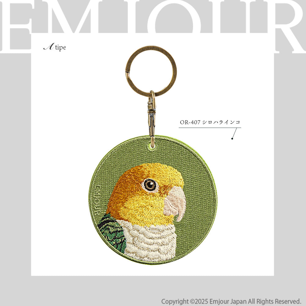 シロハラインコ