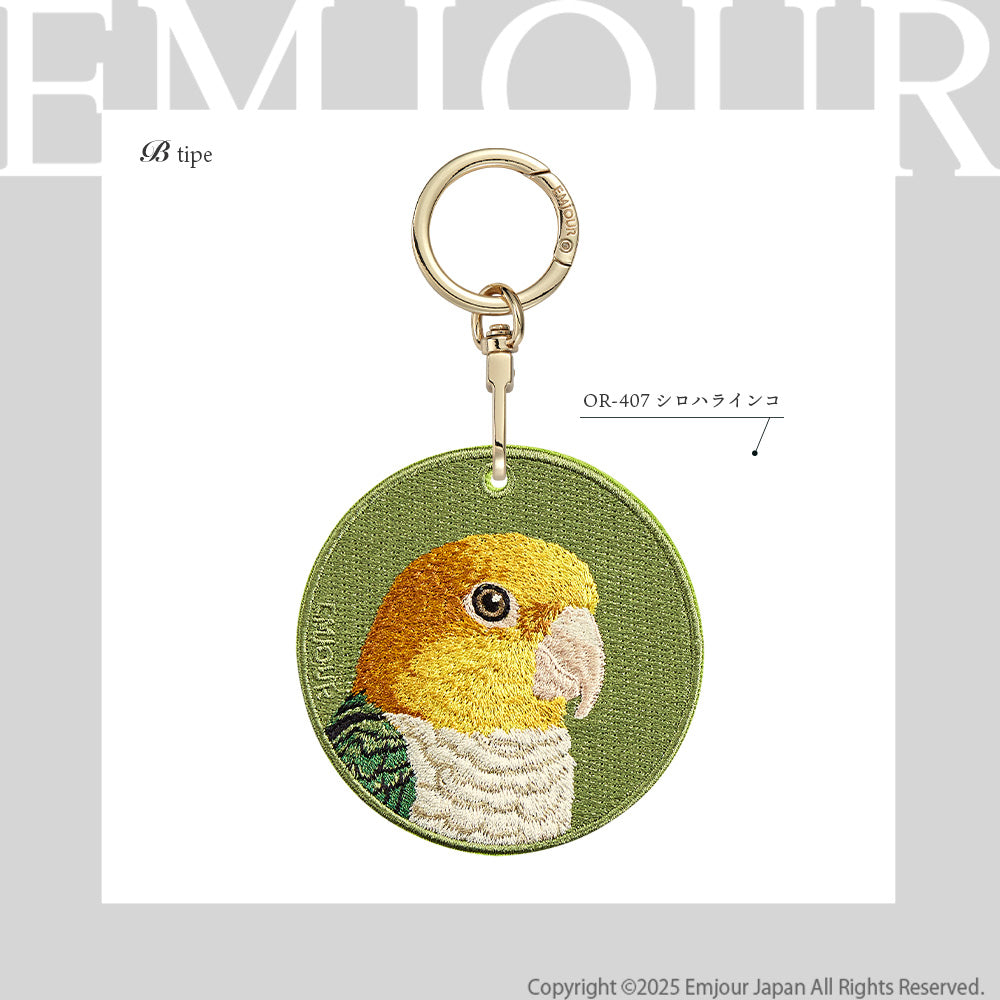 シロハラインコ