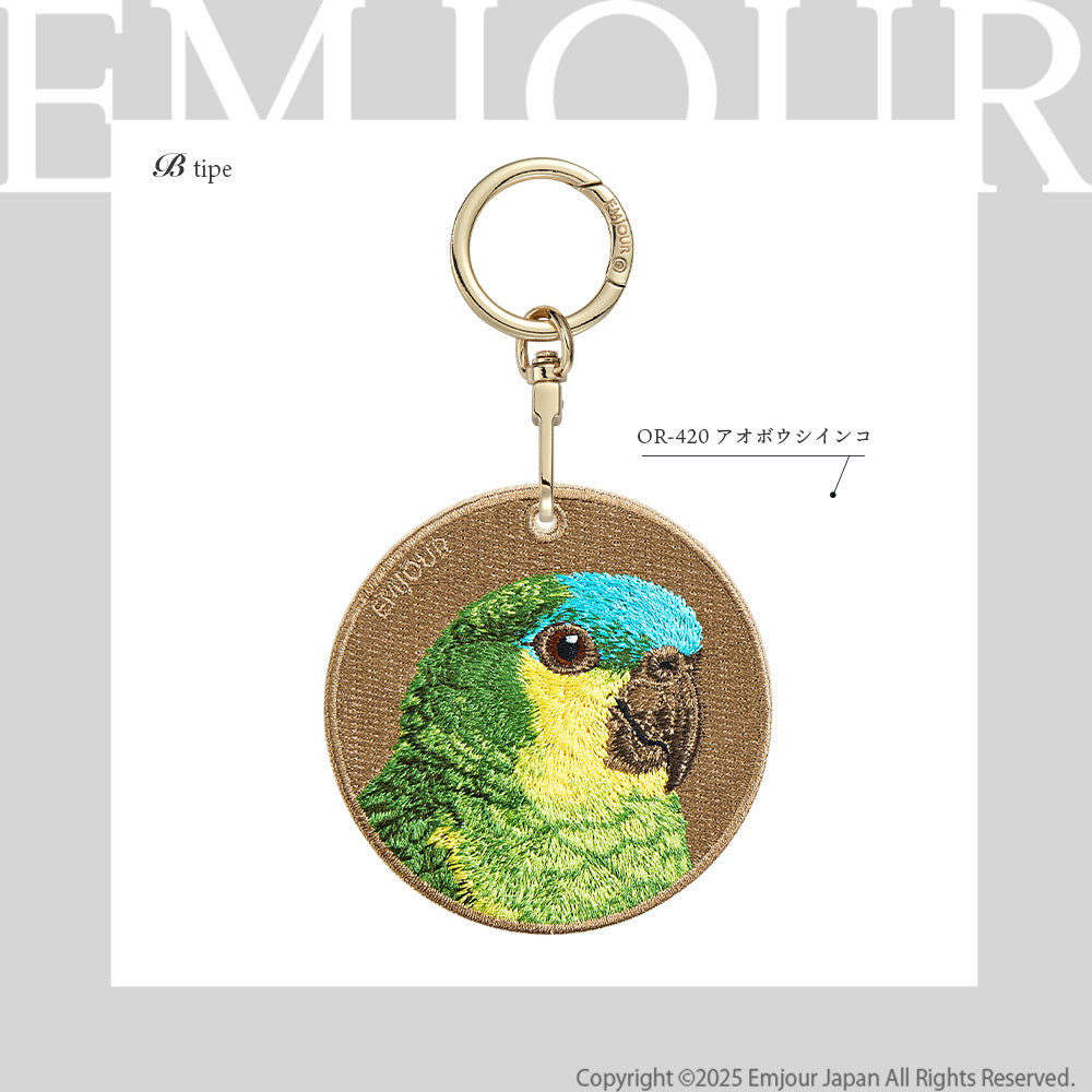 アオボウシインコ