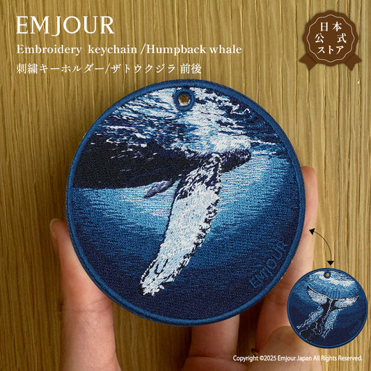 ザトウクジラ (前後)