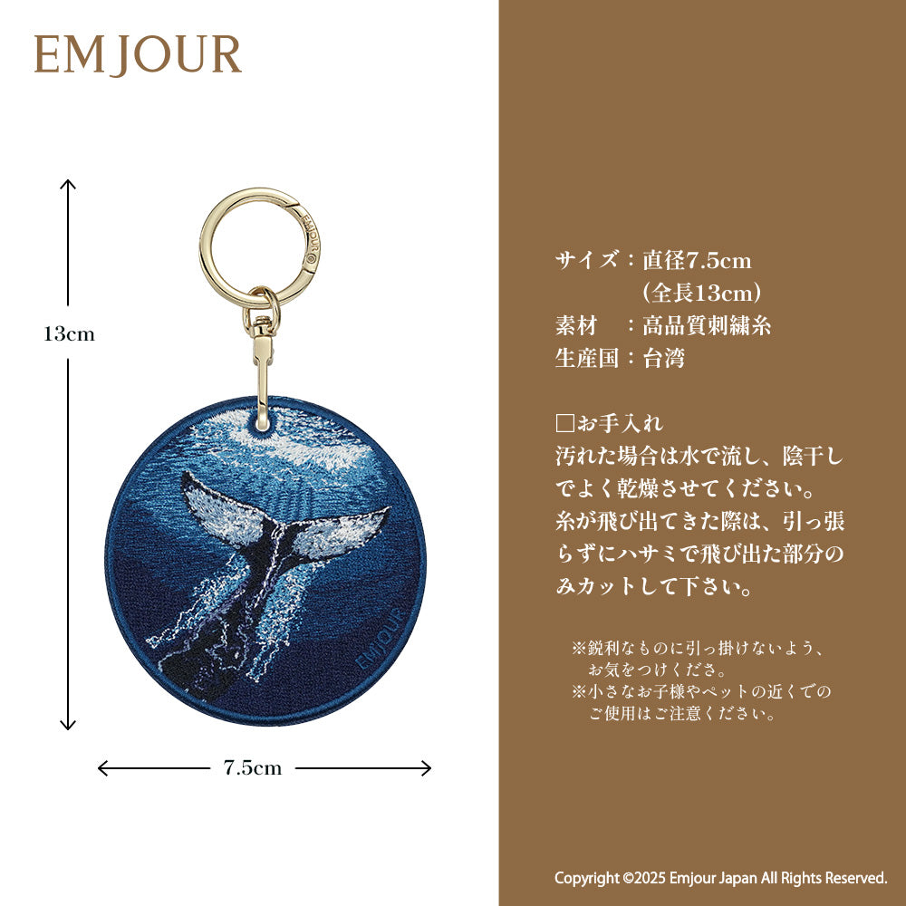 ザトウクジラ (前後)