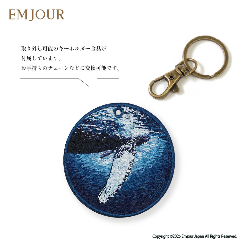 ザトウクジラ (前後)