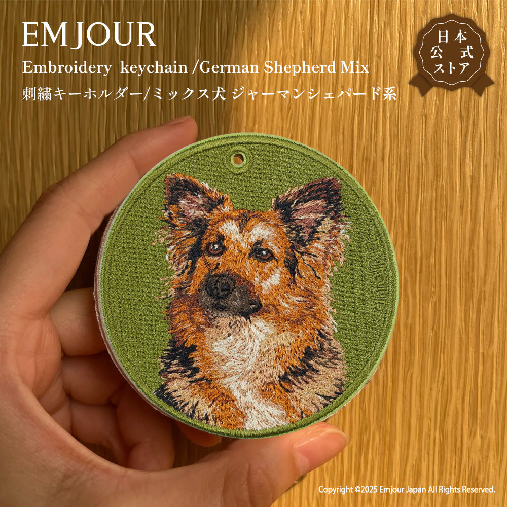 ミックス犬(シェパード系)