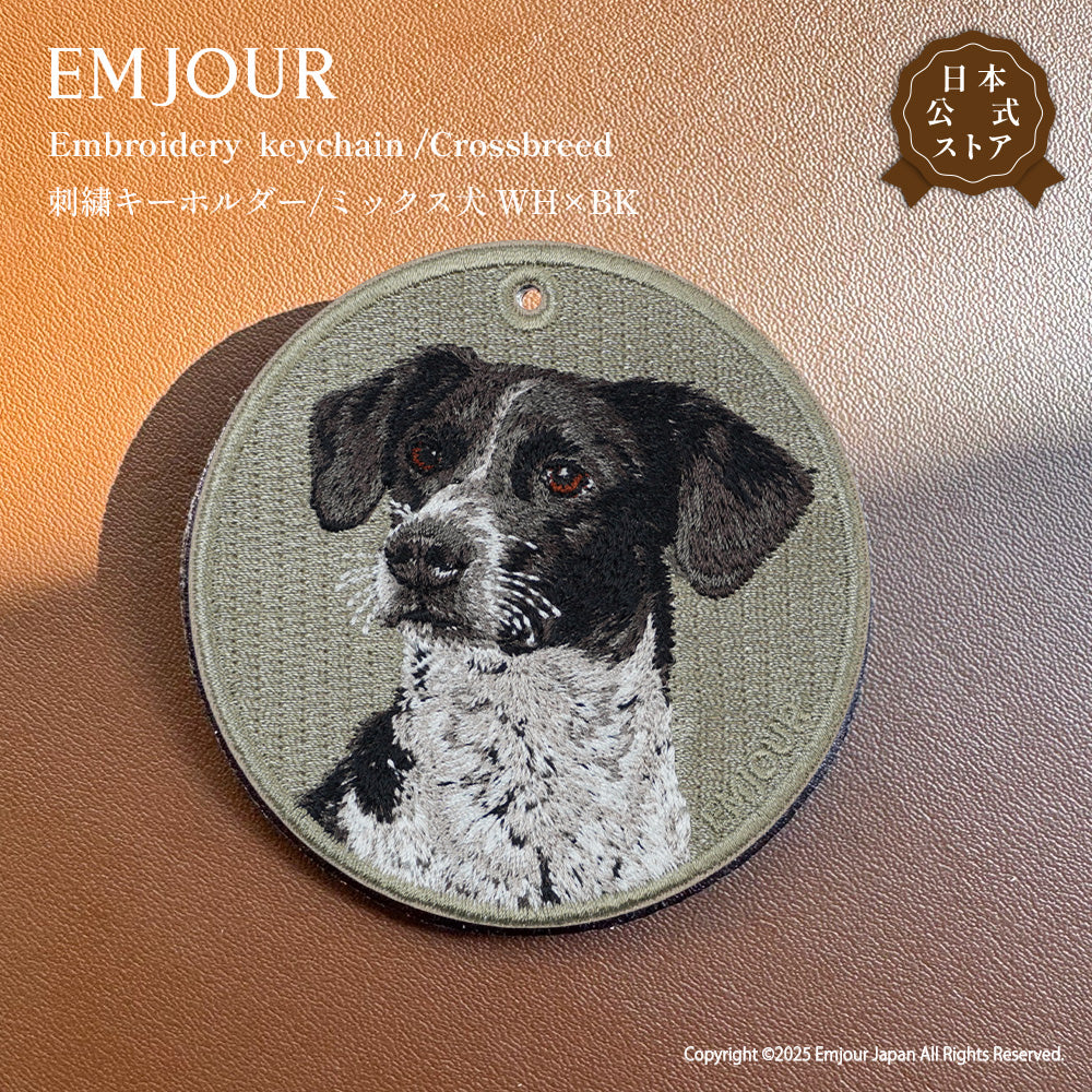 ミックス犬 WH×BK