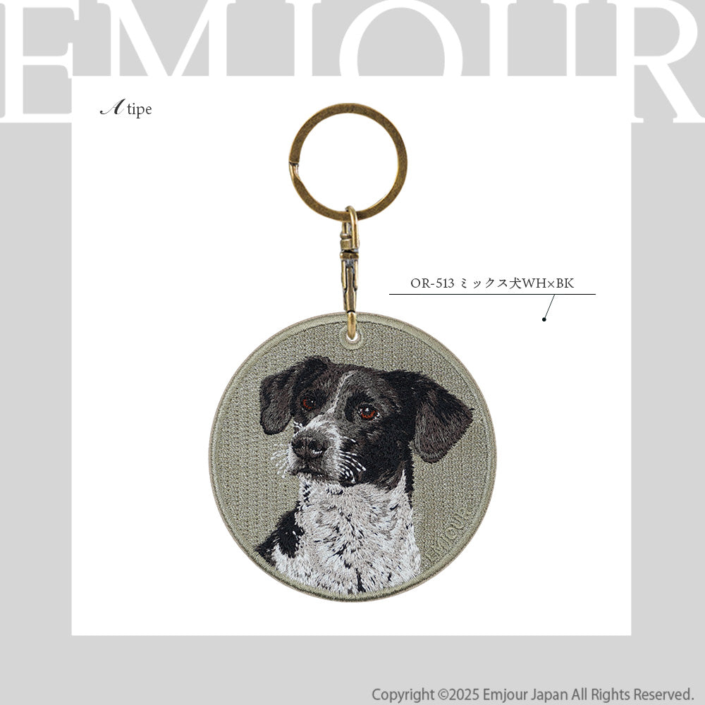 ミックス犬 WH×BK