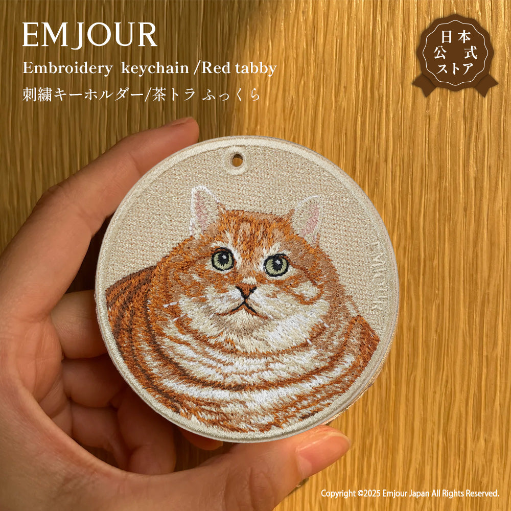 茶トラ (ふっくら)