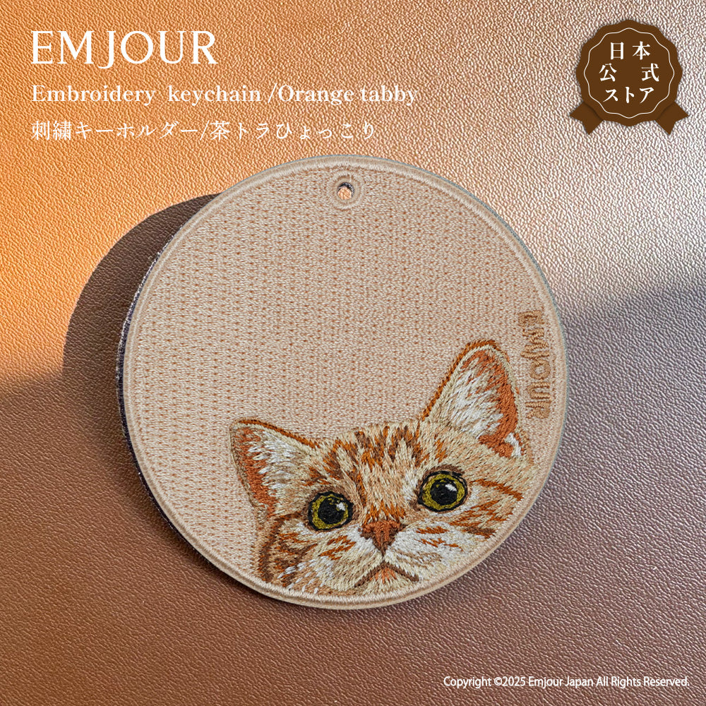茶トラ (ひょっこり)