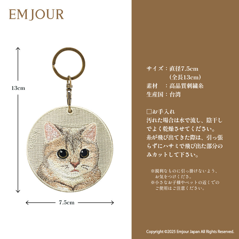 スコティッシュフォールド