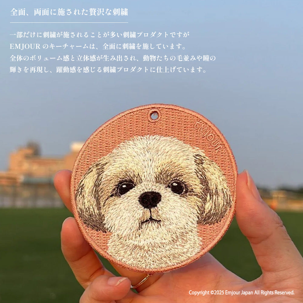 ポメラニアン BK