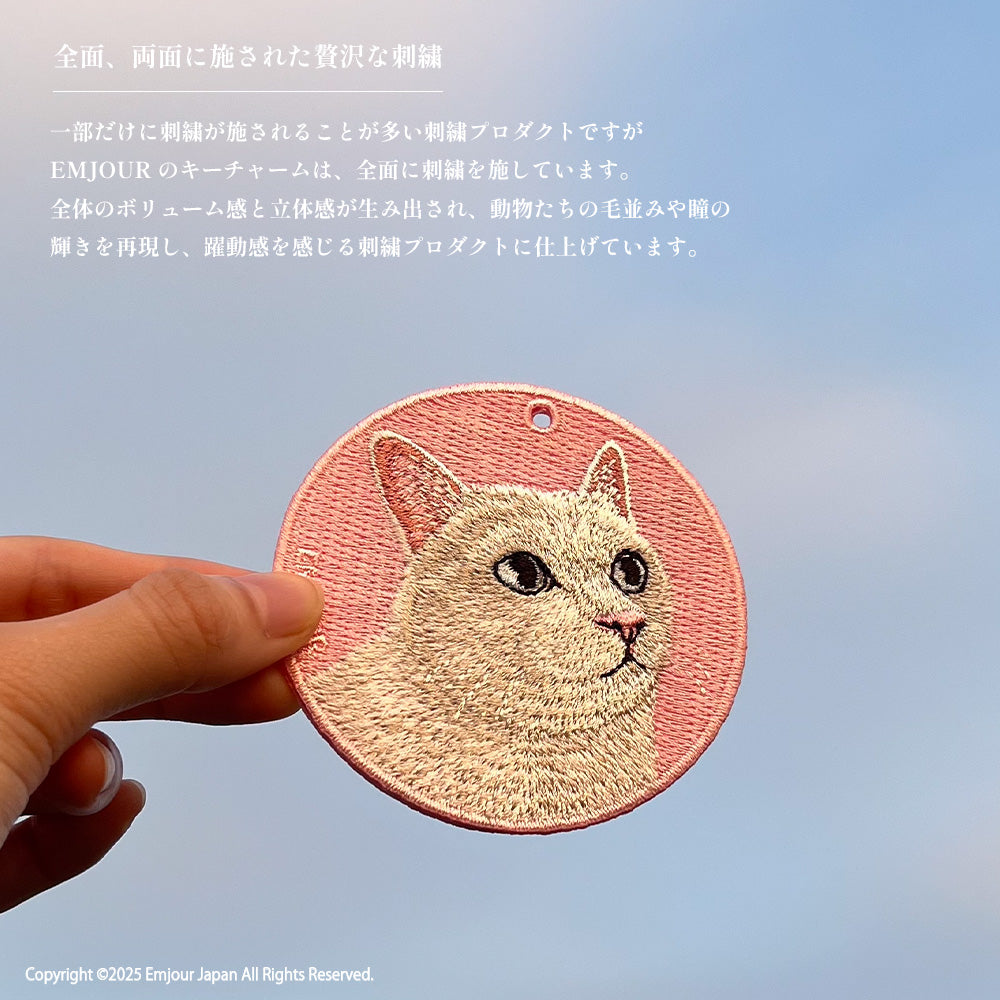 三毛猫